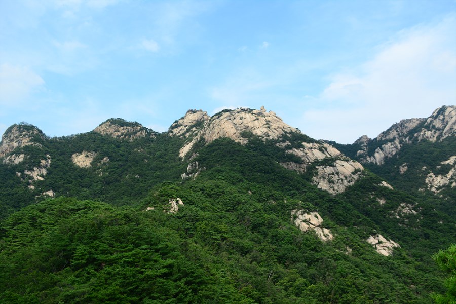 뒷산074.jpg