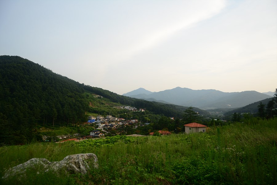 뒷산216.jpg