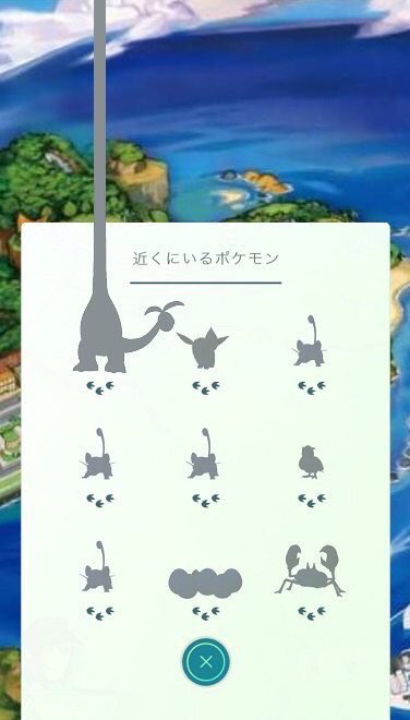 Long-Necked-Exeggutor-Meme-2.jpg