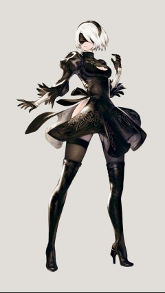 2b.jpg