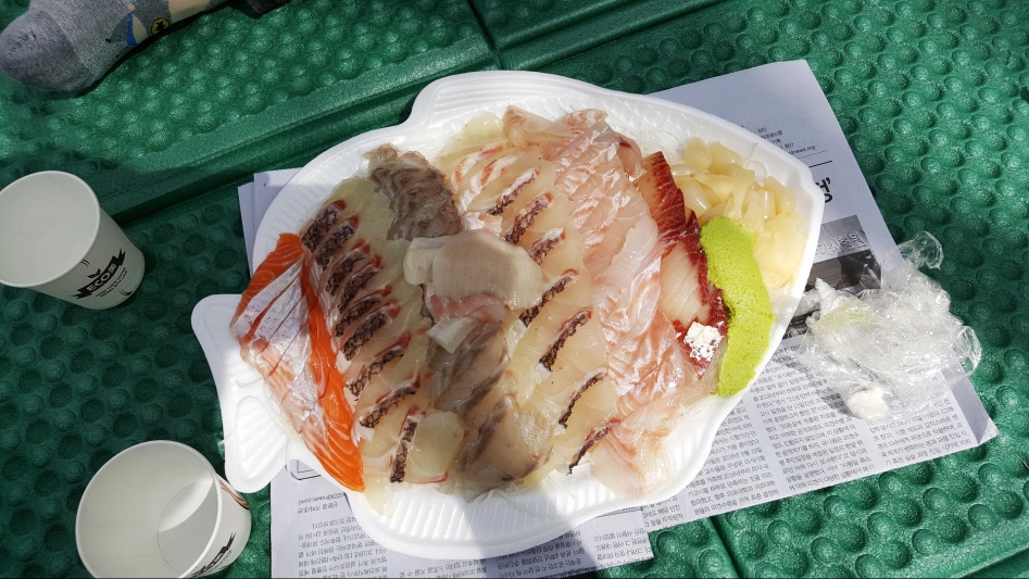 벚꽃 아래에서 먹는 숙성회 | 음식 갤러리 | 루리웹 모바일