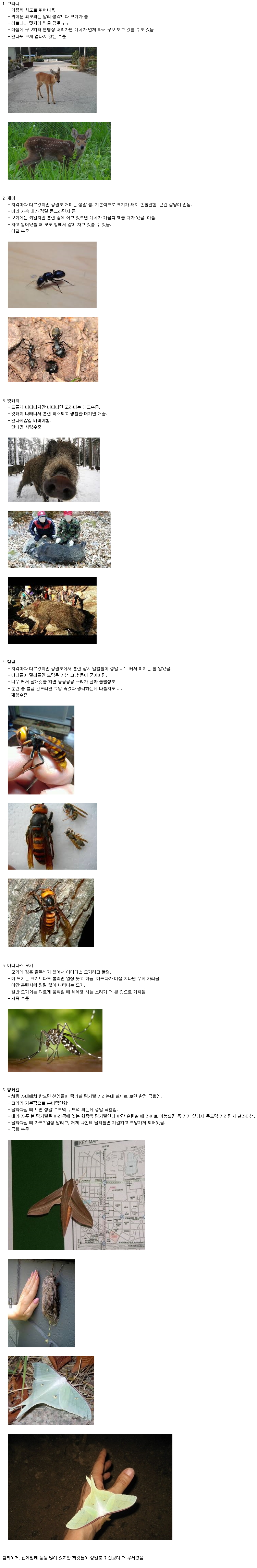 군대에서 귀신보다 무서운 것들.jpg