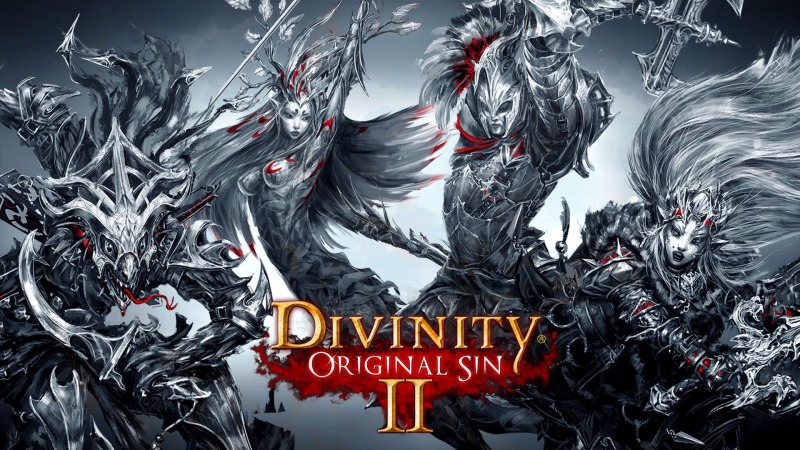 divinity-original-sin-2.jpg