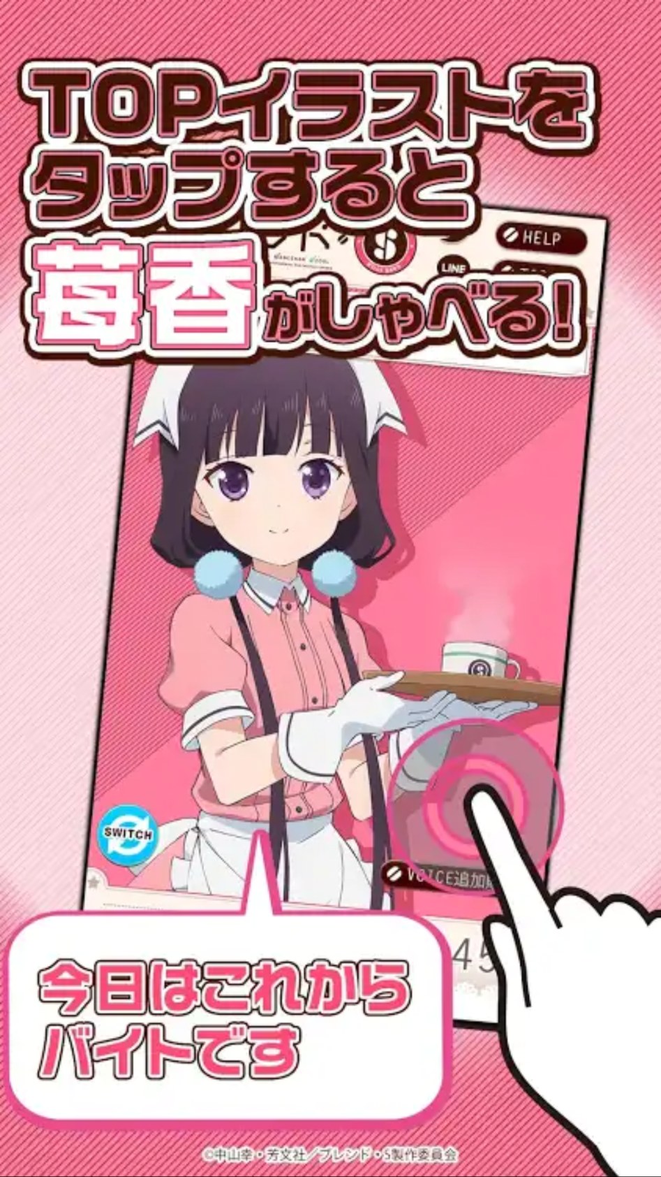 블렌드씨 이미지