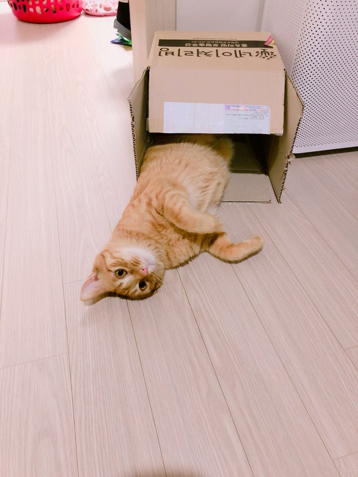 KakaoTalk_20180218_204918635.jpg