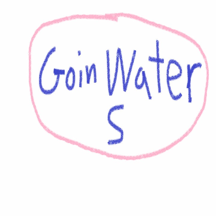GOIN WATER S.jpg