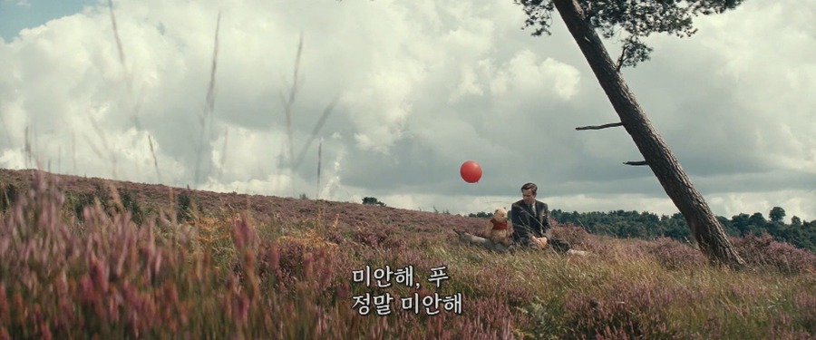 Christopher Robin 2018.1080p.BRRip.X264.AC3-EVO.mkv_20181126_184535.792.jpg