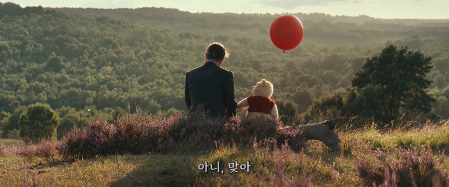 Christopher Robin 2018.1080p.BRRip.X264.AC3-EVO.mkv_20181126_184825.283.jpg