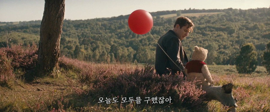 Christopher Robin 2018.1080p.BRRip.X264.AC3-EVO.mkv_20181126_184858.162.jpg