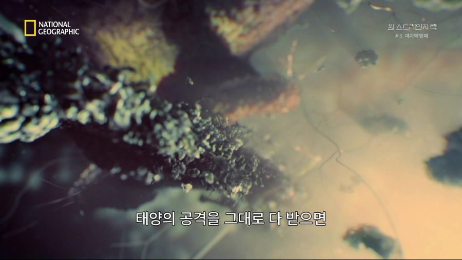 [NGC] 원 스트레인지 락.E03.마지막 방패.KORSUB.HDTV.x264.AAC.1080p-Once.mkv_20190523_225517.866.jpg