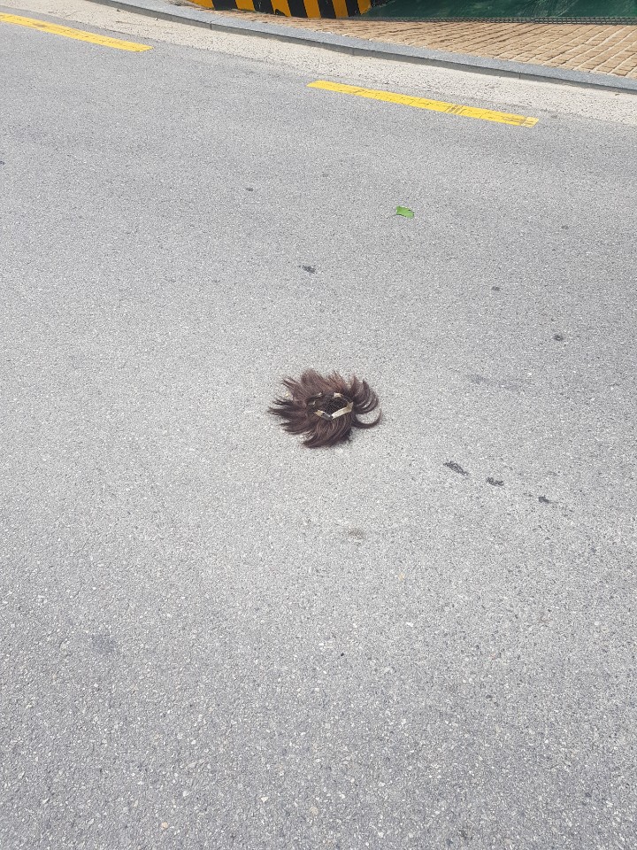 wig.jpg