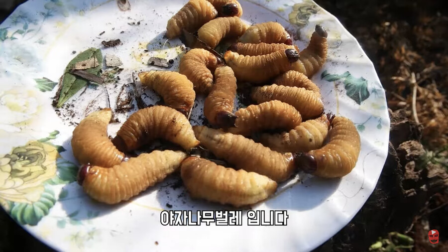 180e284cf644e3924.png