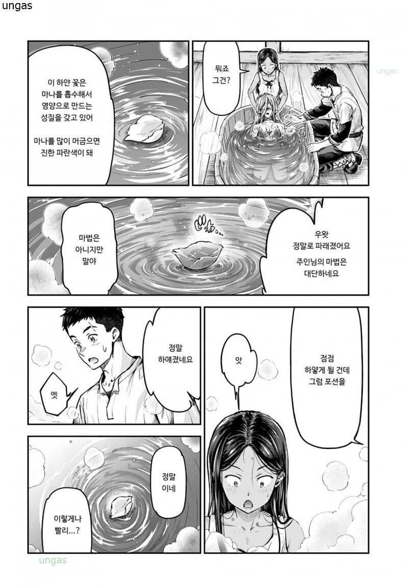 엘프 치료하는 연금술사 manhwa 추가분 유머 게시판