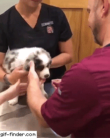 9989033afcb2c82b8d13214cd141ff18.gif