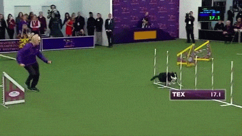 168ab897d7111a1ea.gif