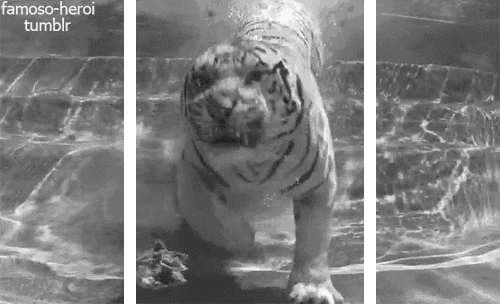 cmt/18/02/04/1615e86d77bfc0f9.gif?used