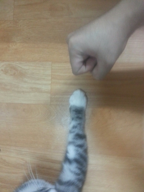 comment img