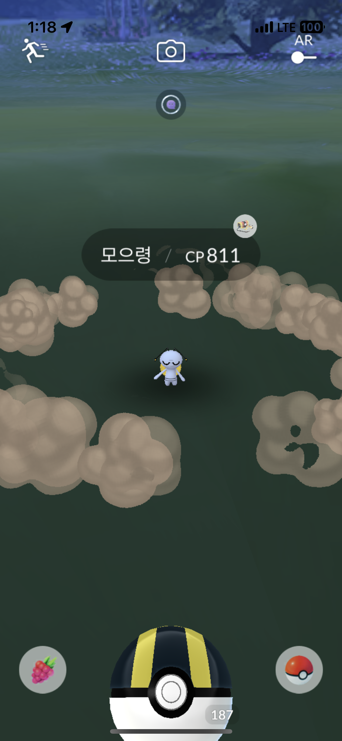 포켓몬스터 스칼렛바이올렛 120 업데이트 배포 개시 및 공식 홈페이지 갱신