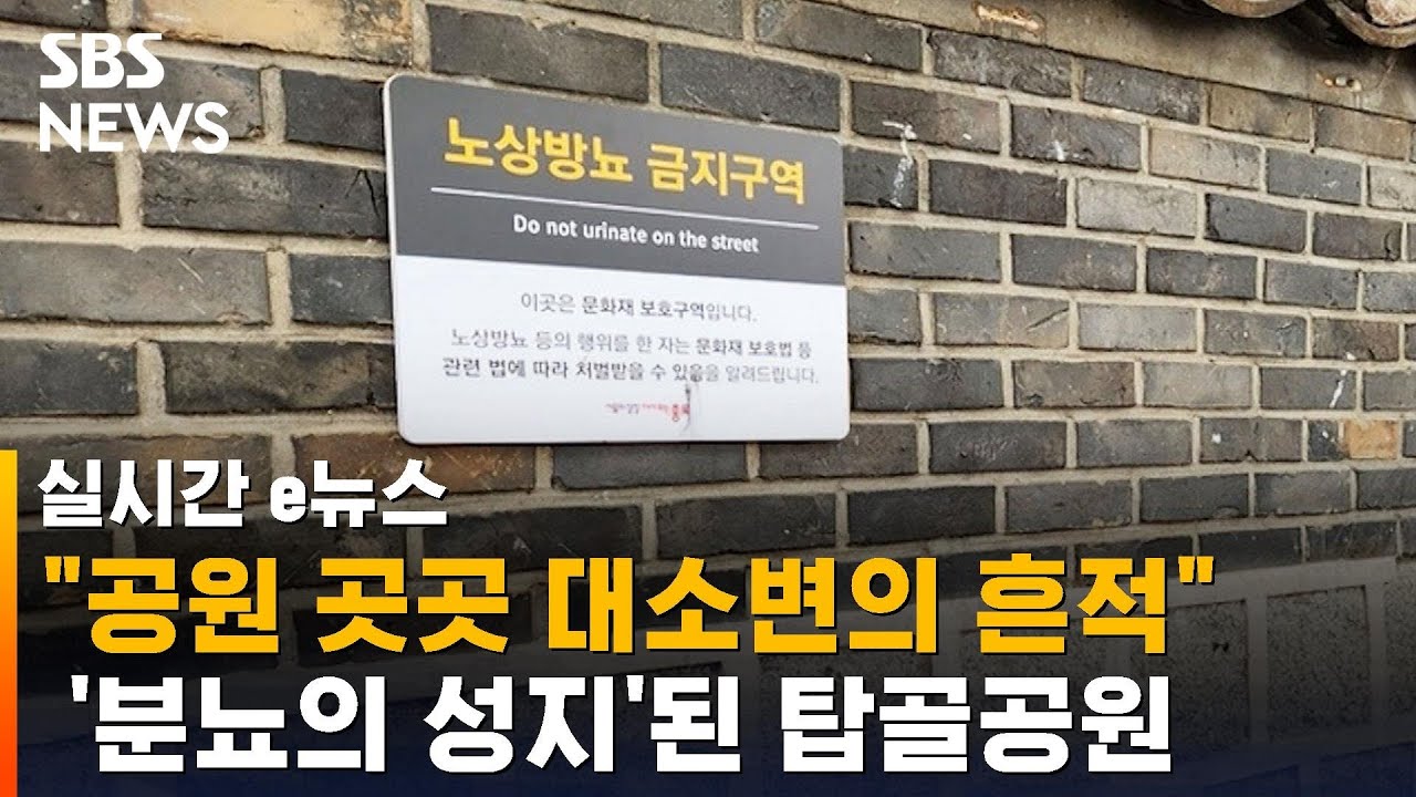 중국 방문하고서 충격먹은 빠니보틀