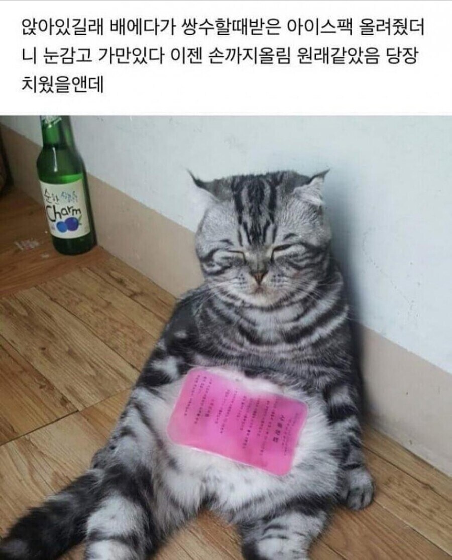 comment img