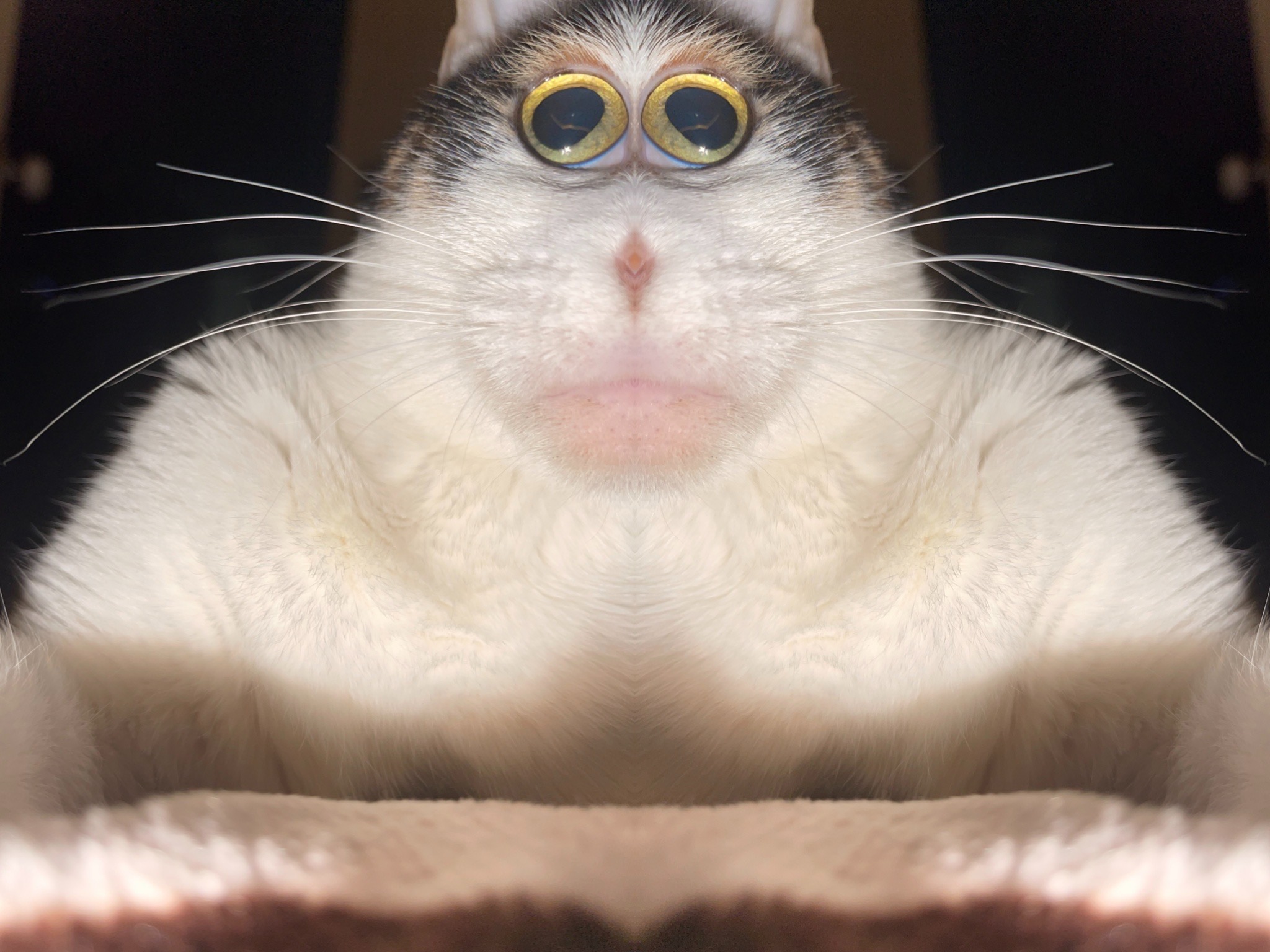 comment img