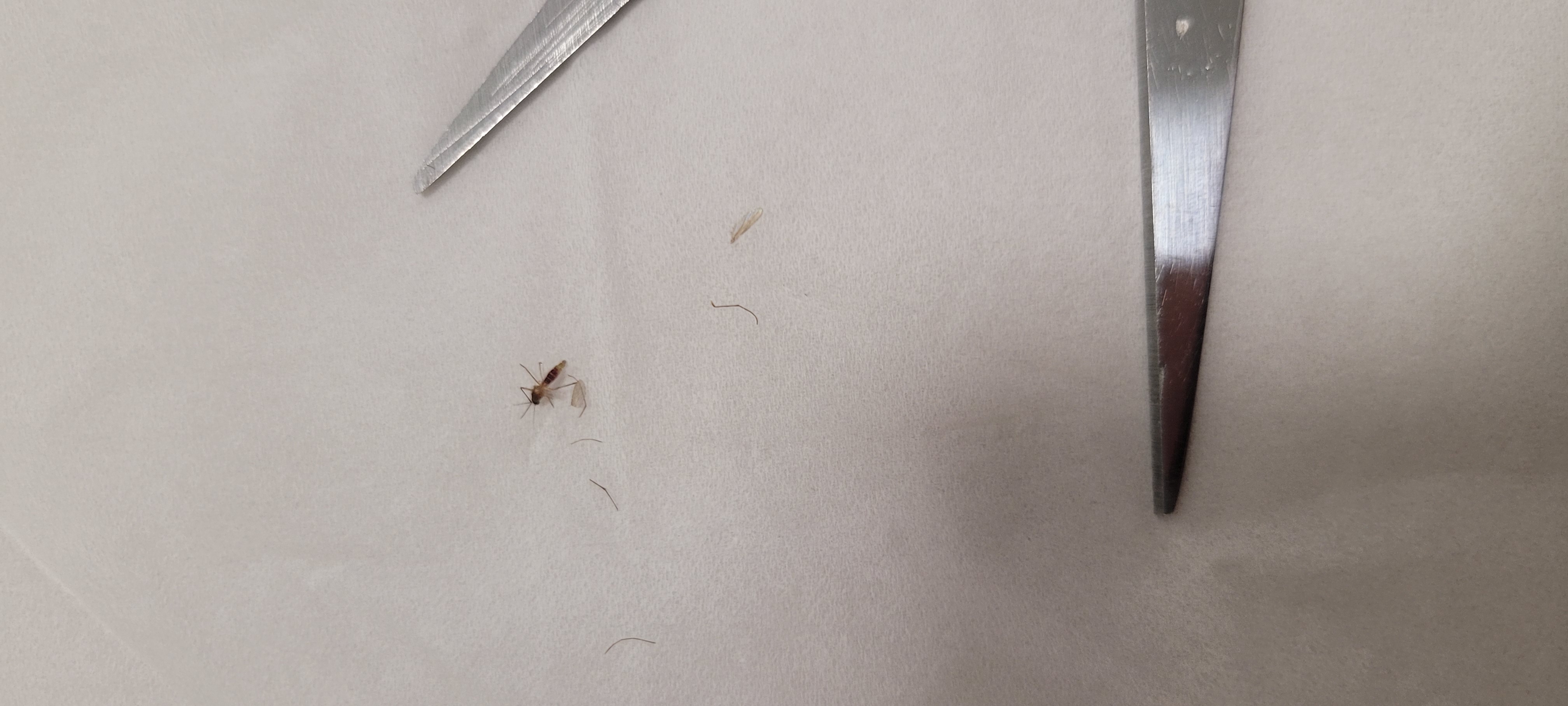 죽은 자식 부랄 만지듯 하는 유부녀gif