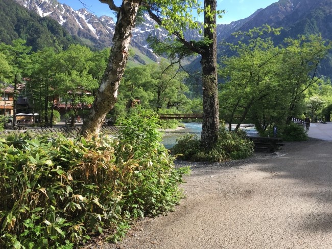 일본 북알프스 야리가다케(3180m) 백패킹을 가다_6.jpg