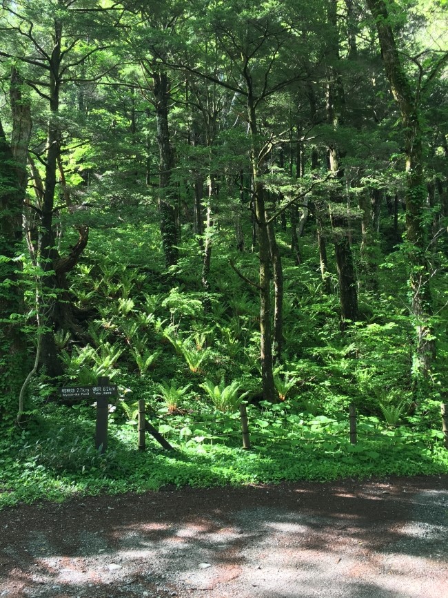 일본 북알프스 야리가다케(3180m) 백패킹을 가다_8.jpg