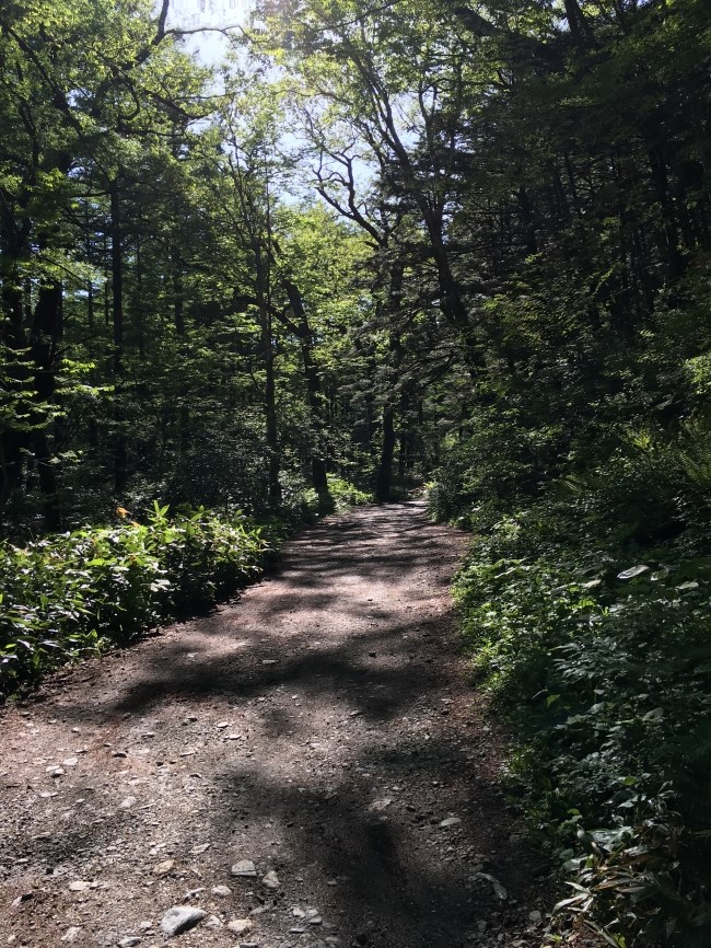 일본 북알프스 야리가다케(3180m) 백패킹을 가다_9.jpg