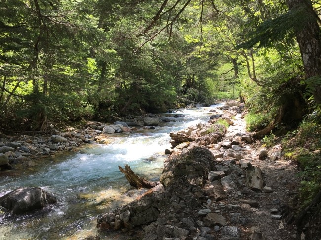 일본 북알프스 야리가다케(3180m) 백패킹을 가다_24.jpg