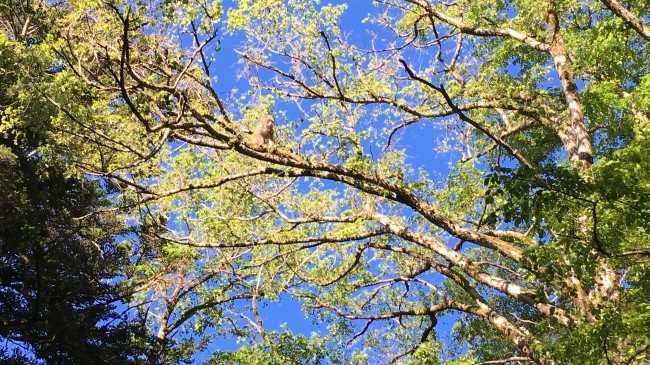 일본 북알프스 야리가다케(3180m) 백패킹을 가다_68.jpg