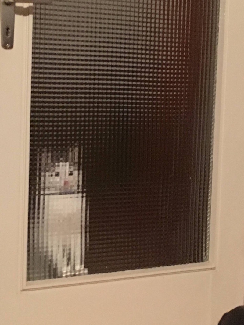 고먐미.jpg_1.jpeg