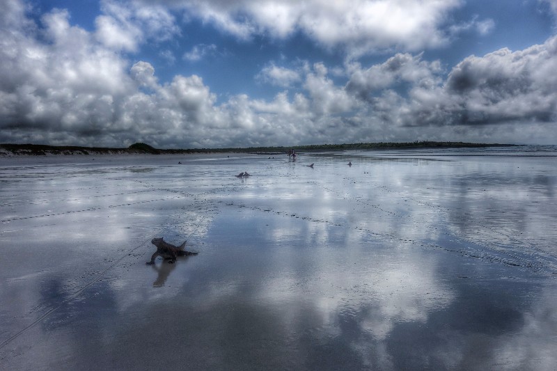 세계여행 다녀왔어요_11.jpg