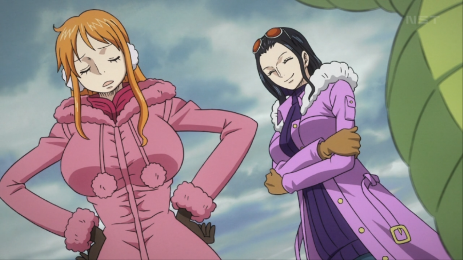 원피스 하트 오브 골드 나미 로빈 모음 애니메이션 갤러리 원피스 하트 오브 골드 나미 로빈 모음 애니메이션 갤러리