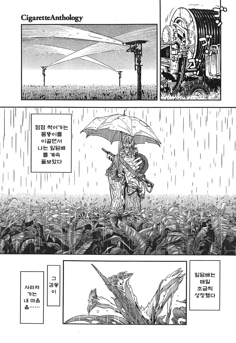 loliwatch 남자의 집념 20개비 JPG