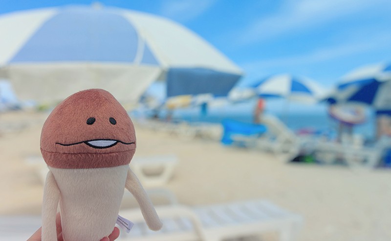 나메코와 함께 오키나와 여행_10.jpg