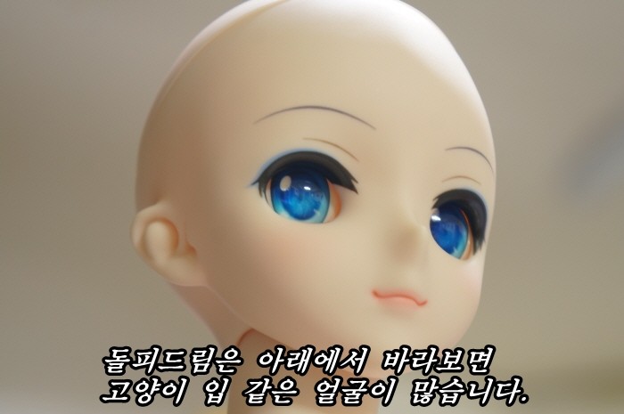 돌피드림 유키미쿠 리뷰를 작성해 보았습니다._37.jpg