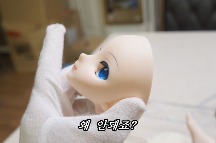 돌피드림 유키미쿠 리뷰를 작성해 보았습니다._40.jpg