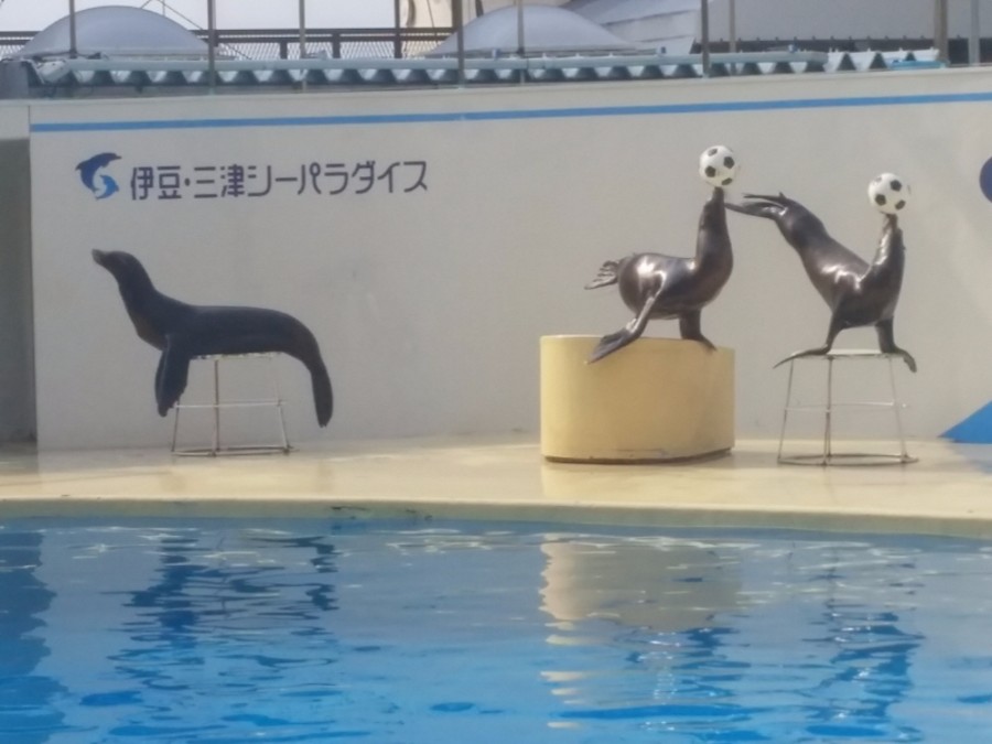 러브라이브! 선샤인! 시즈오카현 누마즈 성지순례(스압)_27.jpg