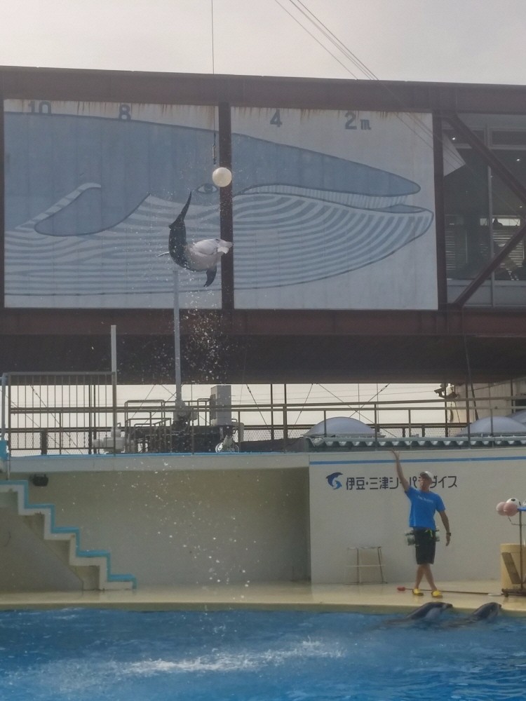 러브라이브! 선샤인! 시즈오카현 누마즈 성지순례(스압)_29.jpg