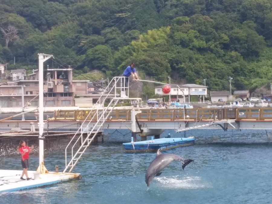 러브라이브! 선샤인! 시즈오카현 누마즈 성지순례(스압)_88.jpg