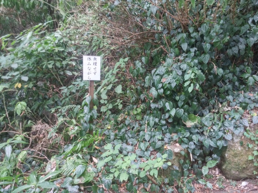 러브라이브! 선샤인! 시즈오카현 누마즈 성지순례(스압)_97.jpg