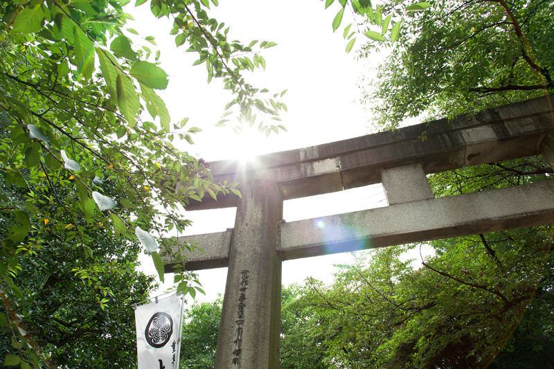 5박 6일 도쿄 여행사진 [스압주의]_10.jpg