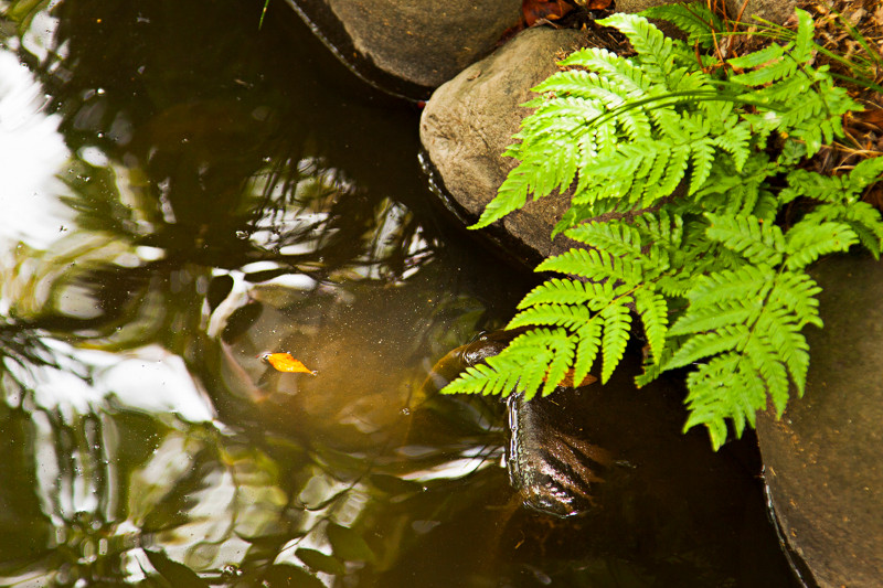 5박 6일 도쿄 여행사진 [스압주의]_142.jpg