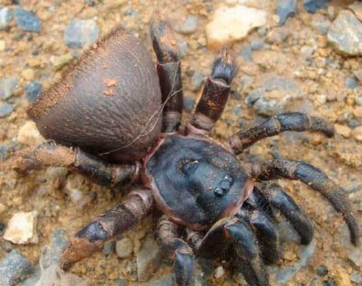 땅 속에서 뭔가 나왔다.JPG_4.jpg