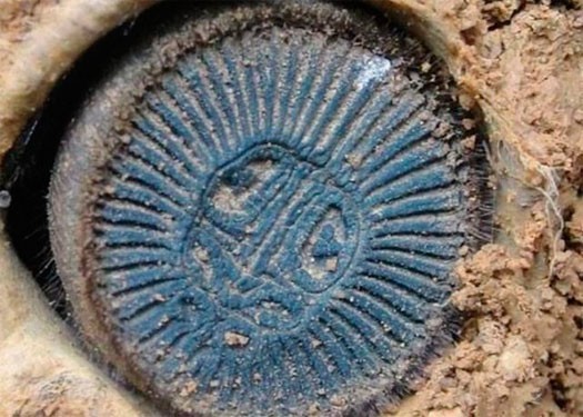 땅 속에서 뭔가 나왔다.JPG_1.jpg