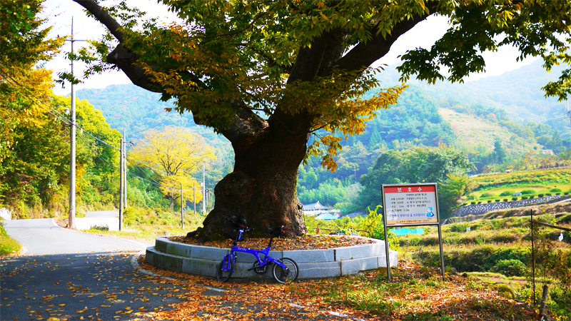 Tour de muckrathon (트루 드 먹라톤) 10주년 정리_53.png