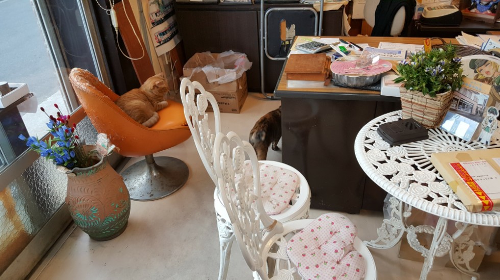 일본 오아라이 자전거 여행 (걸즈 앤 판처 성지순례)_83.png