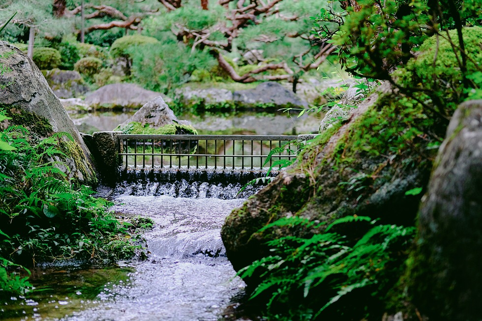 홀로 2박3일 일본 교토 여행사진 72장 (스압주의)_6.jpg