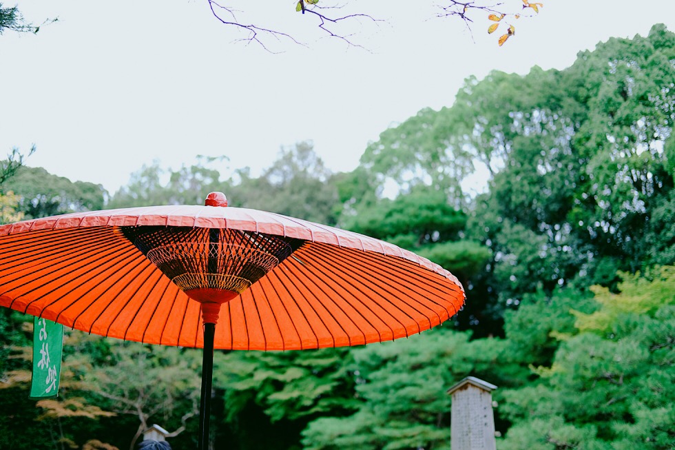 홀로 2박3일 일본 교토 여행사진 72장 (스압주의)_9.jpg